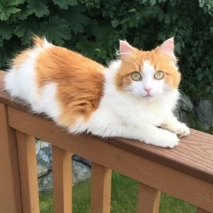 Meet your Posher, Joanna